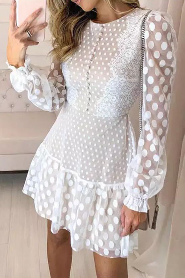 Elegant Polka Dot Lace Flounce O Neck Waist Skirt Dresses