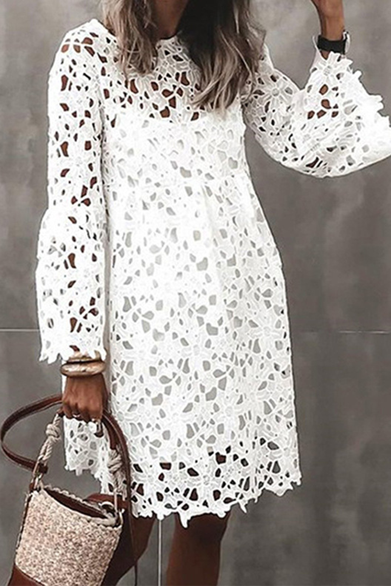 Fashion Solid Lace O Neck Lace Dress Dresses