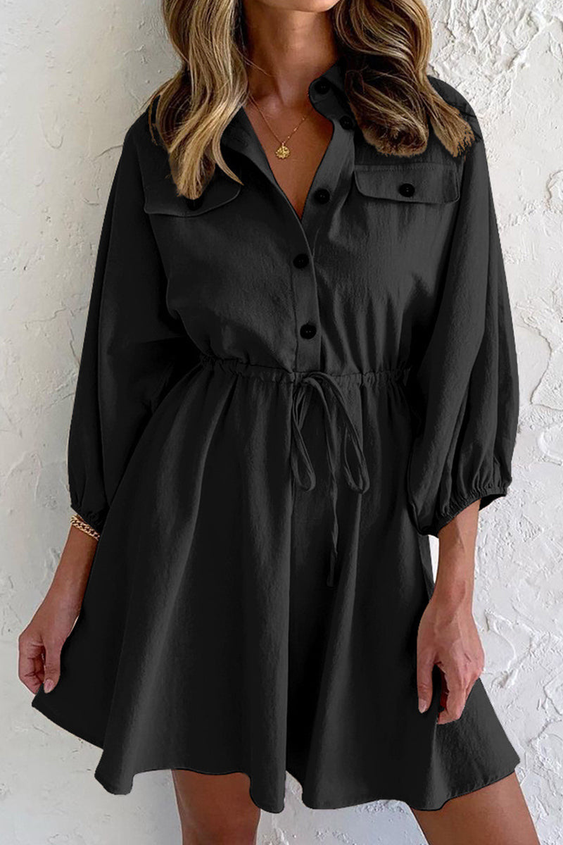 Elegant Solid Pocket Frenulum Turndown Collar Long Sleeve Dresses