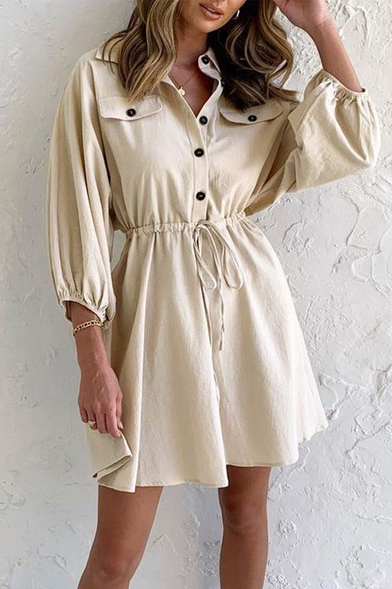 Elegant Solid Pocket Frenulum Turndown Collar Long Sleeve Dresses