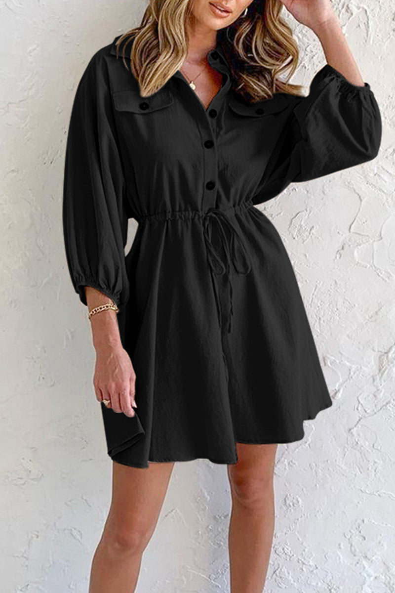 Elegant Solid Pocket Frenulum Turndown Collar Long Sleeve Dresses