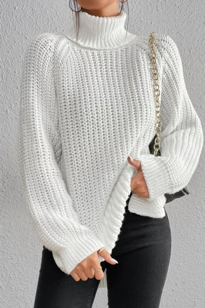 Casual Solid Basic Turtleneck Sweaters(5 Colors)