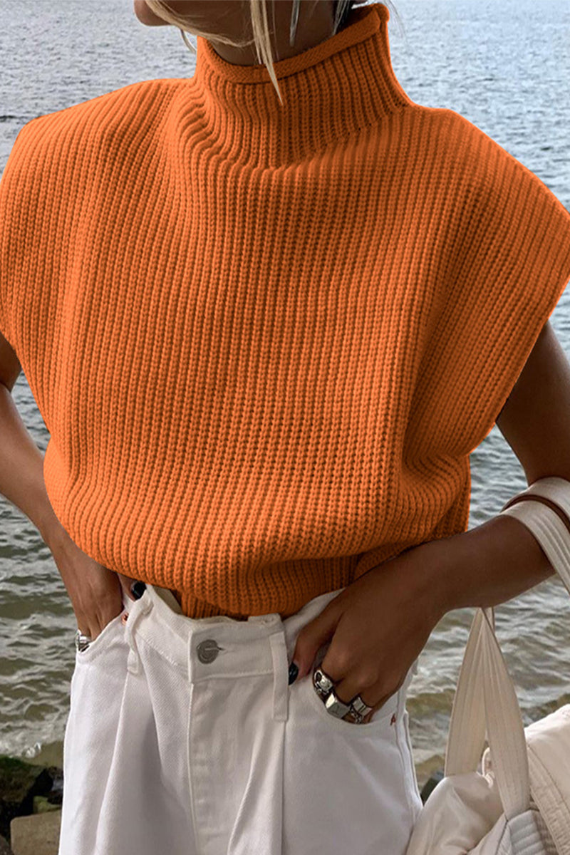 Casual Solid Turtleneck Tops