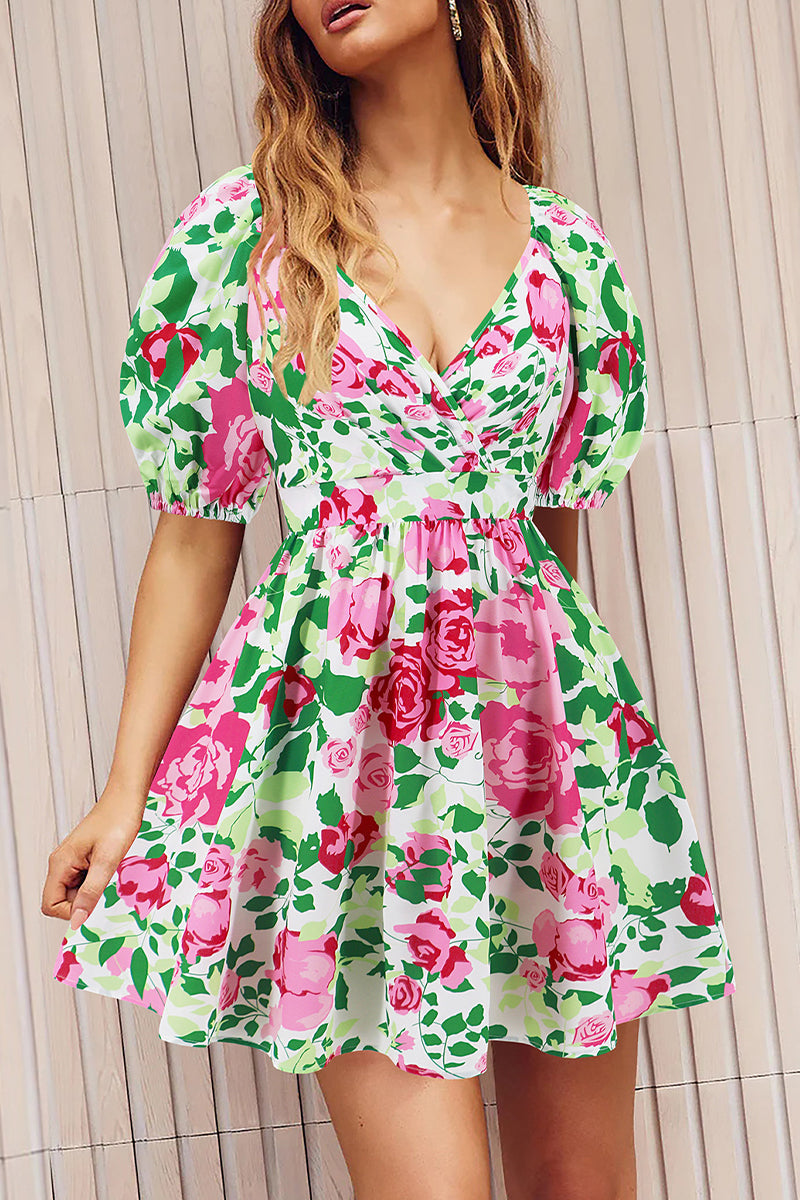 Sexy Vacation Floral Frenulum Contrast V Neck A Line Dresses